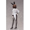 A Ninja and an Assassin Under One Roof figurine Konoha Koga: Bunny Ver. FREEing