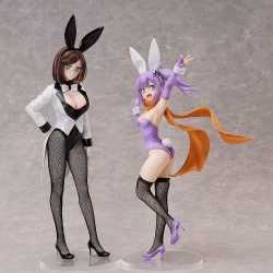 A Ninja and an Assassin Under One Roof figurine Konoha Koga: Bunny Ver. FREEing