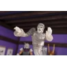 Pack figurines Creepy Eddie & Shibano-Sama - Teenage Mutant Ninja Turtles: Saturday Morning Neca