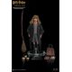 Harry Potter My Favourite Movie figurine 1/6 Hermione Granger Star Ace Toys