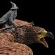 Le Seigneur des Anneaux statuette Gandalf on Gwaihir WETA Collectibles