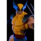 Marvel Comics statuette 1/6 PrototypeZ Wolverine by Erick Sosa Semic