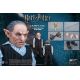 Harry Potter My Favourite Movie figurine 1/6 Griphook (Banker) Star Ace Toys