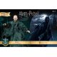Harry Potter pack 2 figurines 1/8 Dementor & Voldemort Star Ace Toys