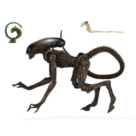 Alien 3 figurine Ultimate Dog Alien Neca
