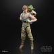 Star Wars Episode V Black Series pack 2 figurines 2020 Luke Skywalker and Yoda (Jedi Training) Hasbro
