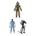 Alien assortiment figurines 18 cm 40th Anniversary série 3 Neca