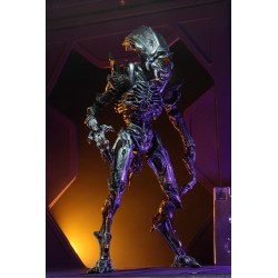 Aliens figurine Ultimate Rhino Alien (Kenner Tribute) Version 2 Neca