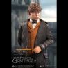 Les Animaux fantastiques 2 figurine Real Master Series 1/8 Newt Scamander Star Ace Toys