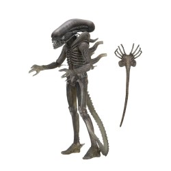 Alien assortiment figurines 18 cm 40th Anniversary série 4 Neca