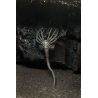 Alien assortiment figurines 18 cm 40th Anniversary série 4 Neca