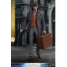 Les Animaux fantastiques 2 figurine Movie Masterpiece 1/6 Newt Scamander Hot Toys