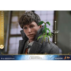 Les Animaux fantastiques 2 figurine Movie Masterpiece 1/6 Newt Scamander Hot Toys