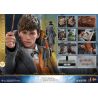 Les Animaux fantastiques 2 figurine Movie Masterpiece 1/6 Newt Scamander Hot Toys