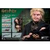 Harry Potter My Favourite Movie figurine 1/6 Wormtail (Peter Pettigrew) Deluxe Ver. Star Ace Toys