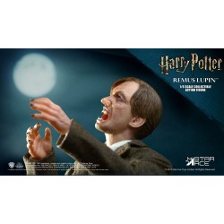Harry Potter My Favourite Movie figurine 1/6 Remus Lupin Deluxe Ver. Star Ace Toys