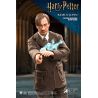 Harry Potter My Favourite Movie figurine 1/6 Remus Lupin Deluxe Ver. Star Ace Toys