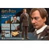 Harry Potter My Favourite Movie figurine 1/6 Remus Lupin Deluxe Ver. Star Ace Toys