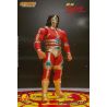 New Japan Pro Wrestling figurine 1/12 Jyushin Liger Storm Collectibles