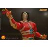 New Japan Pro Wrestling figurine 1/12 Jyushin Liger Storm Collectibles