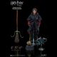 My Favourite Movie figurine 1/6 Harry Potter Triwizard Tournament New Version Star Ace Toys
