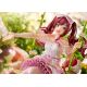 The Idolmaster Shiny Colors figurine Amana Osaki Devoting Rinne Ver. AmiAmi