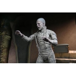 Universal Monsters figurine Ultimate The Mummy (Color) Neca