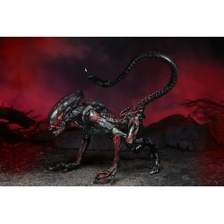 Aliens figurine Night Cougar Alien (Kenner Tribute) Neca