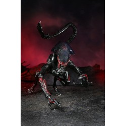 Aliens figurine Night Cougar Alien (Kenner Tribute) Neca