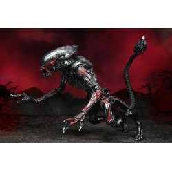 Aliens figurine Night Cougar Alien (Kenner Tribute) Neca