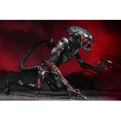 Aliens figurine Night Cougar Alien (Kenner Tribute) Neca