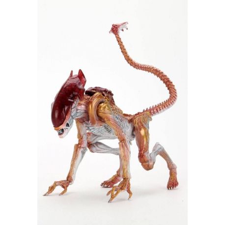 Aliens figurine Panther Alien (Kenner Tribute) Neca