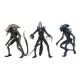Alien vs Predator assortiment figurines Alien (Movie Deco) Neca