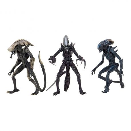 Alien vs Predator assortiment figurines Alien (Movie Deco) Neca