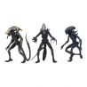 Alien vs Predator assortiment figurines Alien (Movie Deco) Neca