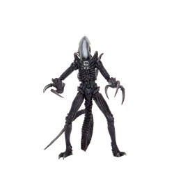 Alien vs Predator assortiment figurines Alien (Movie Deco) Neca