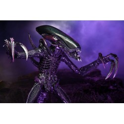 Alien vs Predator assortiment figurines Alien (Movie Deco) Neca
