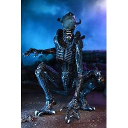 Alien vs Predator assortiment figurines Alien (Movie Deco) Neca