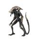 Alien vs Predator assortiment figurines Alien (Movie Deco) Neca