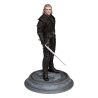 The Witcher figurine Transformed Geralt Dark Horse