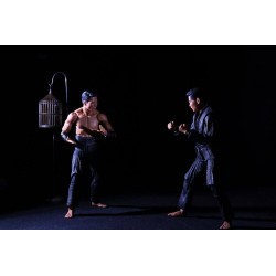 Les Tortues Ninja (1990) pack 2 figurines Shadow Warriors Neca