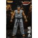 Virtua Fighter 5 Ultimate Showdown figurine Akira Yuki Storm Collectibles