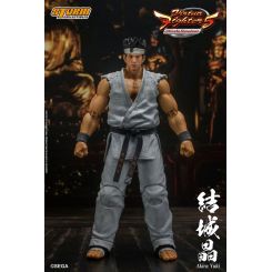 Virtua Fighter 5 Ultimate Showdown figurine Akira Yuki Storm Collectibles
