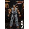 Virtua Fighter 5 Ultimate Showdown figurine Akira Yuki Storm Collectibles
