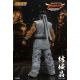 Virtua Fighter 5 Ultimate Showdown figurine Akira Yuki Storm Collectibles