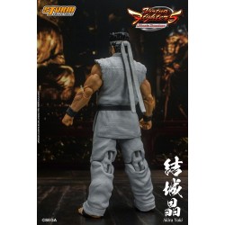 Virtua Fighter 5 Ultimate Showdown figurine Akira Yuki Storm Collectibles