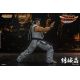 Virtua Fighter 5 Ultimate Showdown figurine Akira Yuki Storm Collectibles