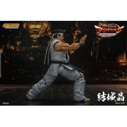 Virtua Fighter 5 Ultimate Showdown figurine Akira Yuki Storm Collectibles