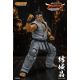 Virtua Fighter 5 Ultimate Showdown figurine Akira Yuki Storm Collectibles