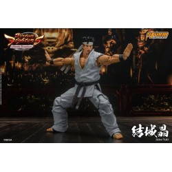 Virtua Fighter 5 Ultimate Showdown figurine Akira Yuki Storm Collectibles